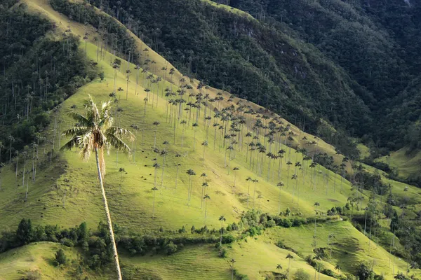 Fotografía original de Santiago — Paisajes
